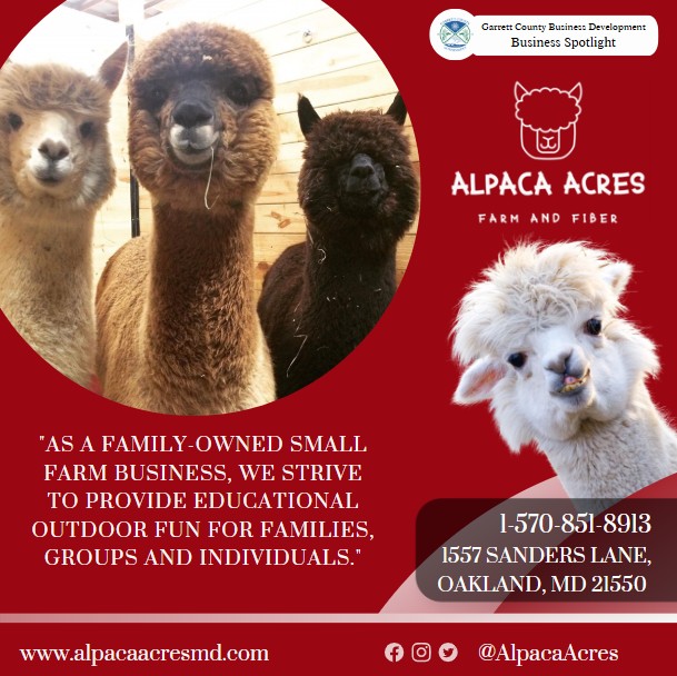 Today's Business Spotlight 📣 is on Alpaca Acres!
Visit them at Alpaca Acres Farm and Fiber, or www.alpacaacresmd.com
Follow us to see more daily Garrett County Business Spotlights!
If you are interested in having your business featured contact Connor Norman at cnorman@garrettcounty.org. #businessdevelopment #garrettcountymd